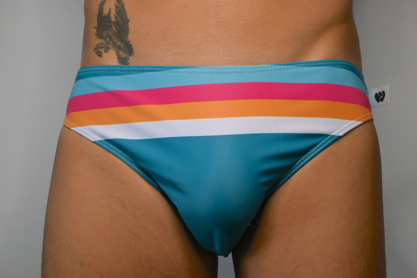 Rainbow slim low rise mini swim briefs for tanning