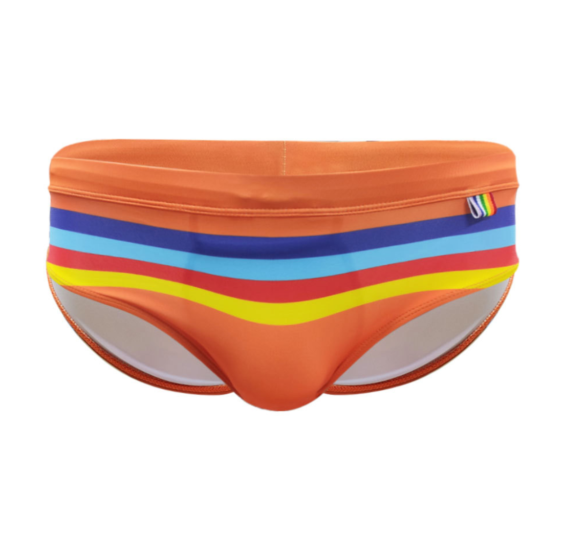 Men's Striped Swim Briefs